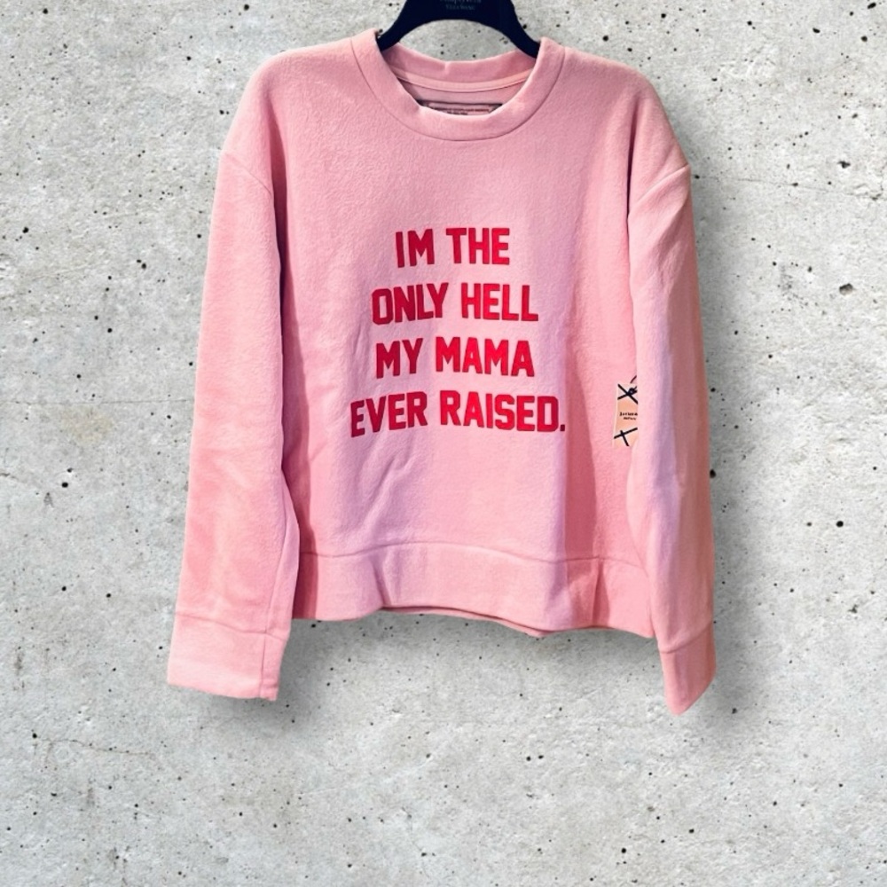 NWT Daydream Nation Fleece Couch
Crasher The Only Hell Pullover